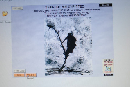 ΤΟ ΡΟΔΟ ΤΗΣ ΓΕΝΝΗΣΗΣ